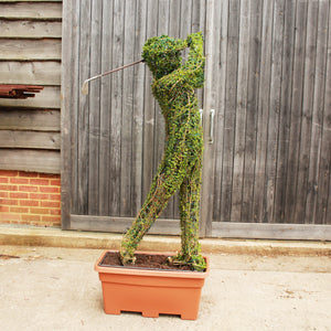 Topiary Golfer