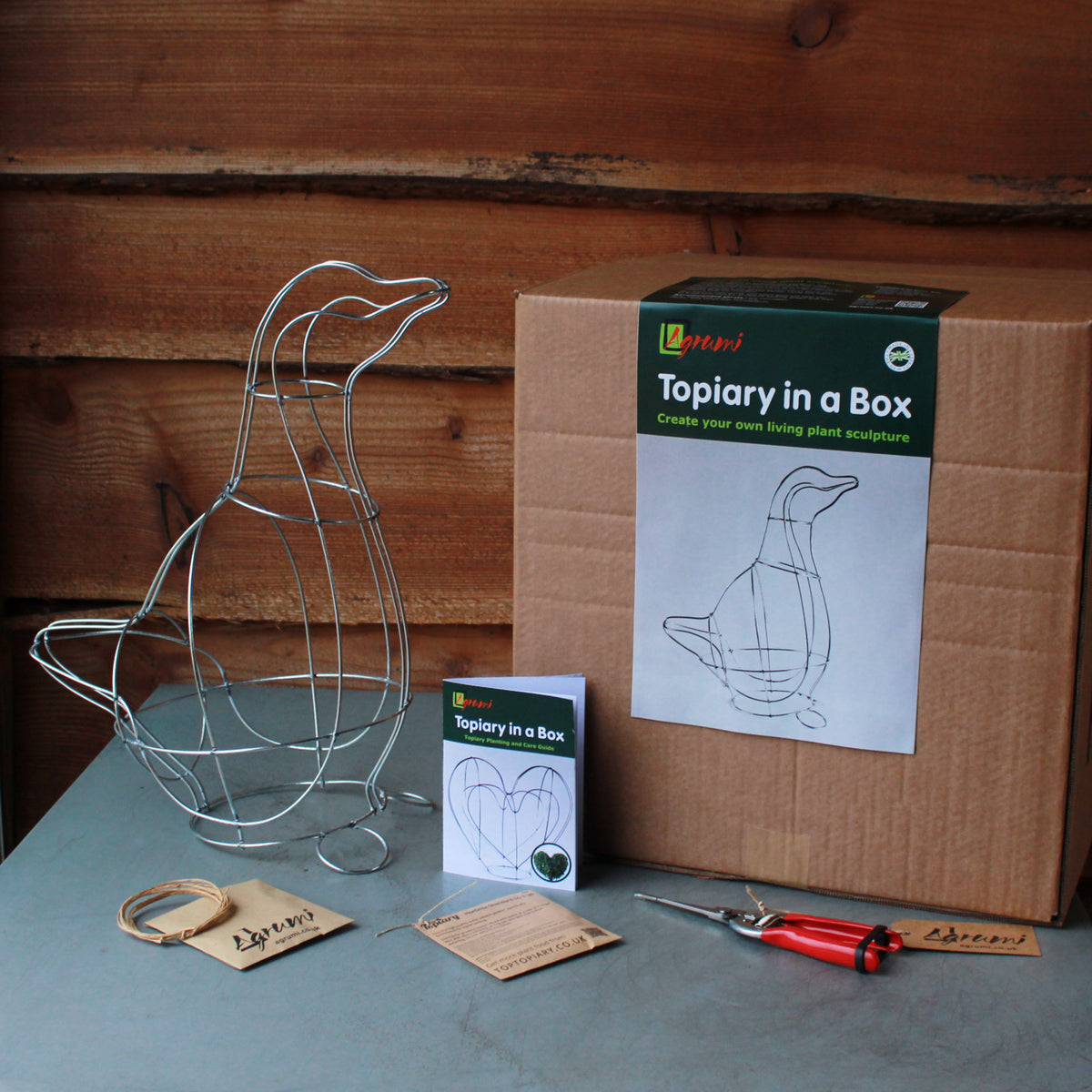 'Topiary in a Box' Kit – Top Topiary