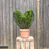 Heart Frame - Medium - 30cm High