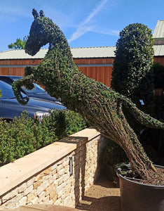 Topiary Jumping Horse - 160cm tall
