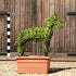 Topiary Standing Horse - 72cm tall