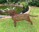 Metal Labrador Dog Sculpture by Luigi Frosini - 80cm tall