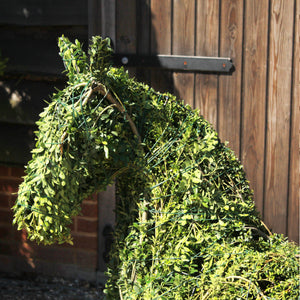 Topiary Pony Laying Down - 100cm Tall