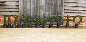 Topiary Numbers and Letters - 60cm tall