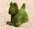 SALE PRICE Dog Scottish Terrier Artificial Grass