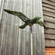 Seagull Topiary Sculpture
