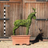 Topiary Standing Stag - 102cm Tall