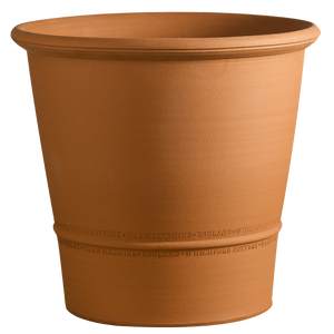 Whichford Terracotta Pot - Buxus Pot Small