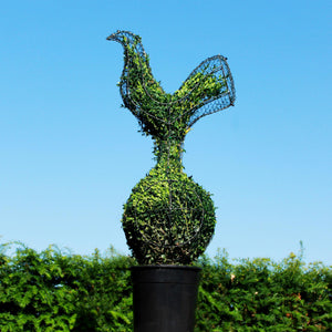 Cockerel on a Ball Topiary Sculpture