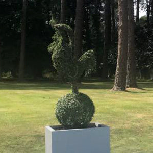 Cockerel on a Ball Giant Topiary Sculpture