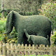 Éléphant topiaire - Sculpture végétale vivante