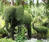 Éléphant topiaire - Sculpture végétale vivante