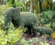 Éléphant topiaire - Sculpture végétale vivante