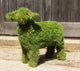 SALE PRICE Lamb Artificial Grass