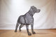 Metal Labrador Dog Sculpture by Luigi Frosini - 80cm tall