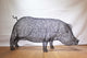 Metal Pig Sculpture (Large) by Luigi Frosini - 130cm long