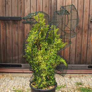 Cormorant Bird Topiary Sculpture